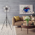 Торшер Cottero 5002/05 PN-5 Торшер Cottero 5002/05 PN-5