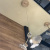 Светильник подвесной Crystal Lux MARGO SP1 Светильник подвесной Crystal Lux MARGO SP1