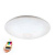 Настенно-потолочный светильник Totari-c 97918