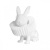 Ночник Bunny 10117/B Ночник Bunny 10117/B